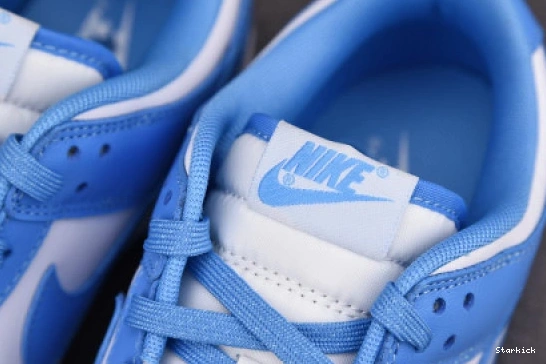 Nike Blue Dunk DD1391-102 University Low 0717